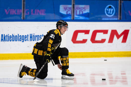 AIKs Theo Hårdstam