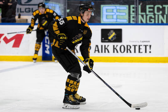 AIKs Viggo Gustafsson