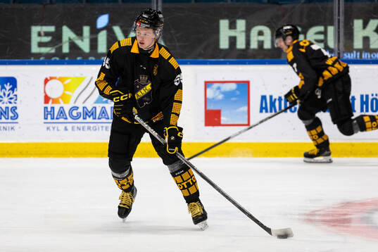 AIKs Viggo Gustafsson