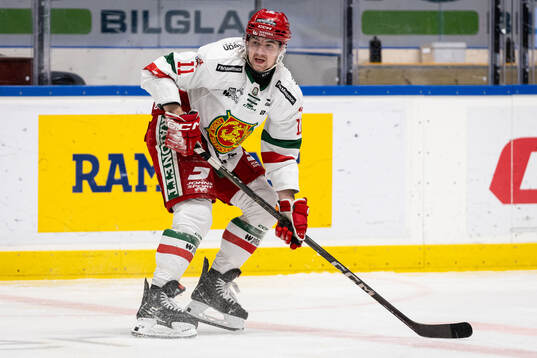Moras Gustav Salmi-Lilja