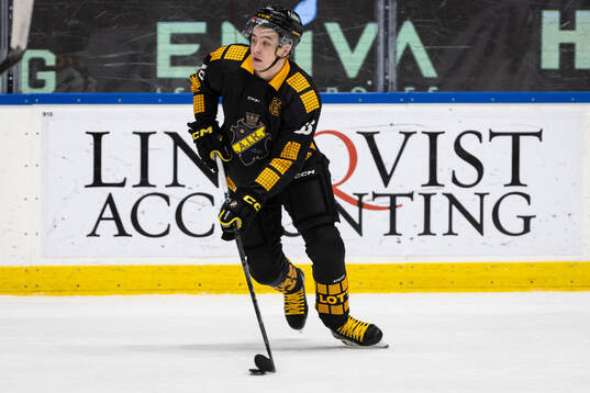 AIKs Viggo Gustafsson