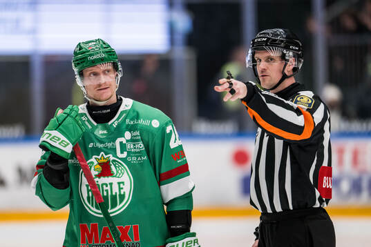 Rögles Anton Bengtsson och Domare