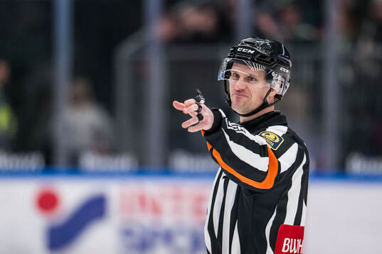 Domare Stefan Leijonklo