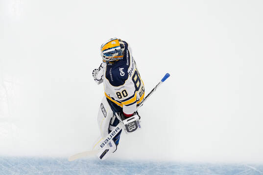 HV71s målvakt Frederik Dichow