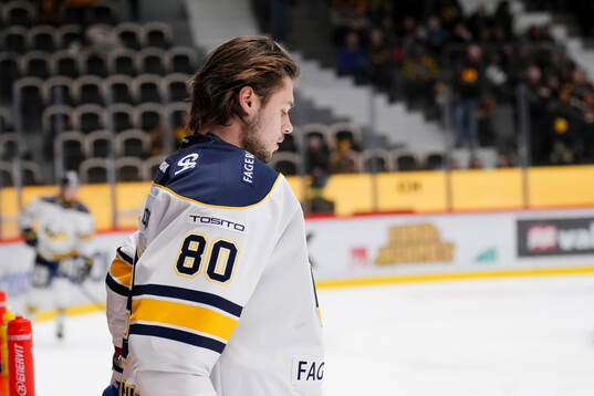 HV71s målvakt Frederik Dichow