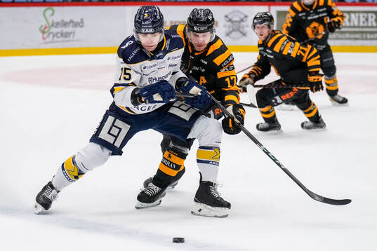 HV71s Radan Lenc och Skellefteås Pär Lindholm