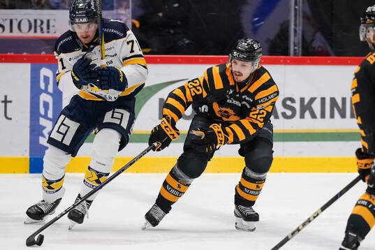 HV71s William Ignberg Nilsson och Skellefteås Jonathan