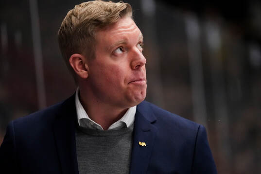HV71s tränare Anton Blomqvist