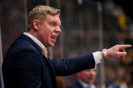 HV71s tränare Anton Blomqvist