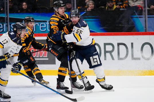 Skellefteås Michael Brandsegg-Nygård och HV71s Mikael