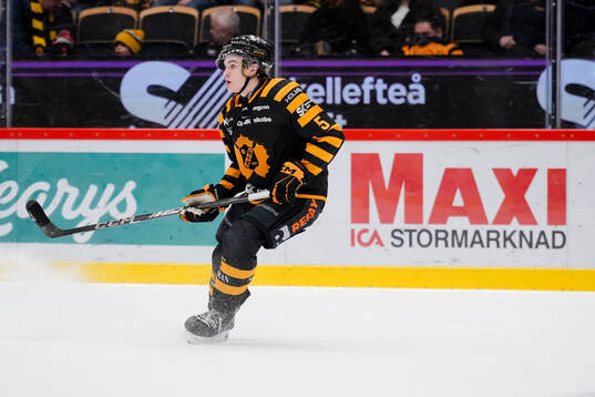 Skellefteås Axel Sandin Pellikka