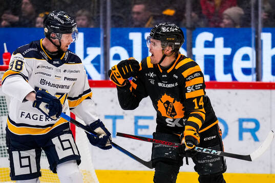 HV71s Olle Alsing och Skellefteås Andreas Johnson