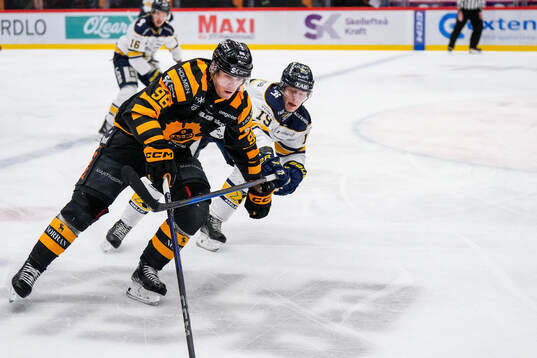 Skellefteås Rickard Hugg och HV71s Henrik Borgström