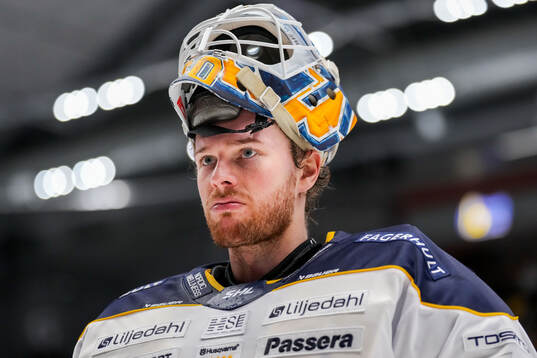 HV71s målvakt Hugo Alnefelt