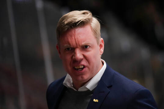 HV71s tränare Anton Blomqvist