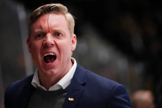 HV71s tränare Anton Blomqvist