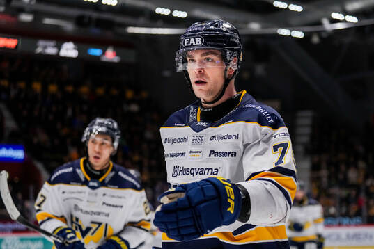 HV71s Radan Lenc jublar
