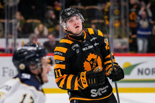 Skellefteås Max Lindholm deppar