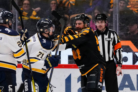 HV71s William Ignberg Nilsson och Skellefteås Luke