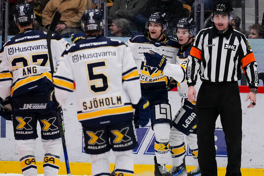 HV71s Radan Lenc jublar