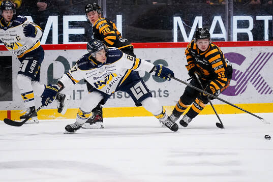 HV71s Jonathan Ang och Skellefteås Zeb Forsfjäll