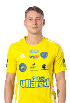 Falkenbergs Gabriel Johansson