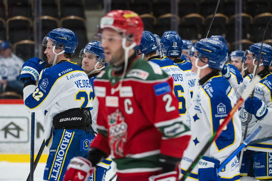 Leksands spelare