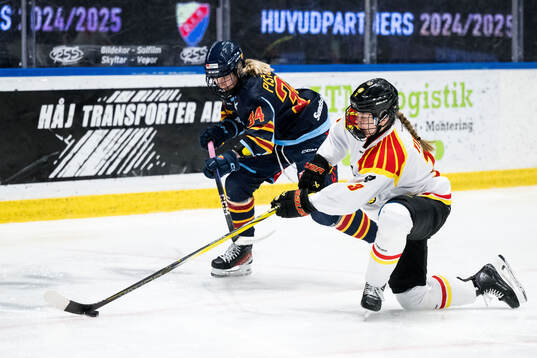 Djurgårdens Tereza Pistekova och Brynäs Tillie Ytfeldt