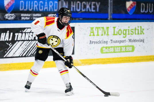 Brynäs Oona Koukkula
