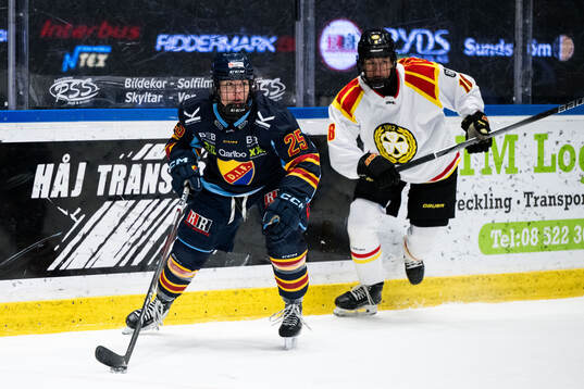 Djurgårdens Sara Säkkinen och Brynäs Jenniina Nylund