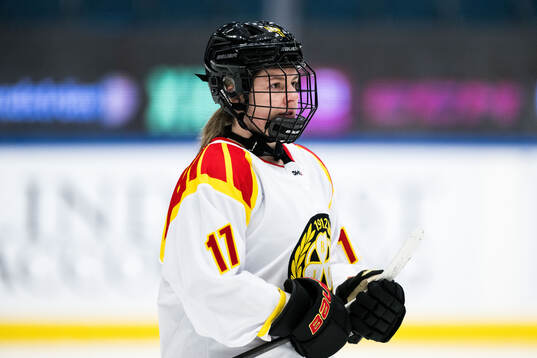 Brynäs Taylor Baker