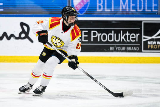 Brynäs Annie Silén