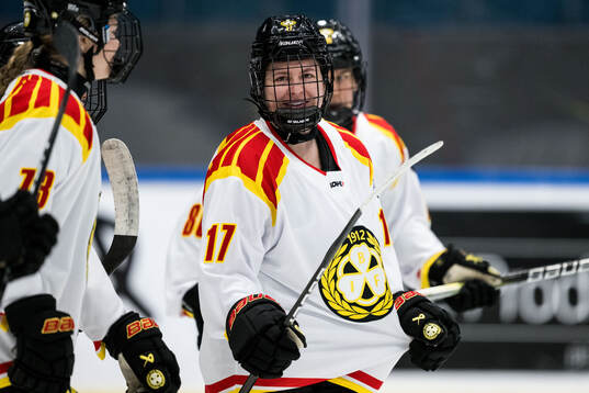 Brynäs Taylor Baker