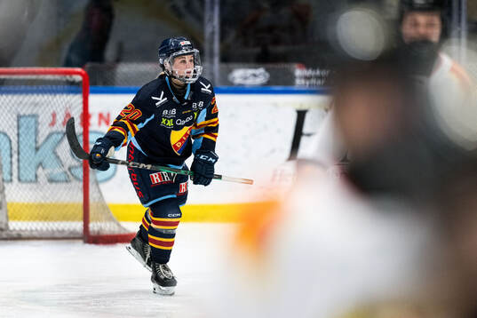 Djurgårdens Brette Pettet jublar