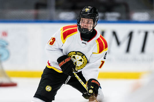 Brynäs Tillie Ytfeldt