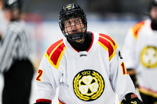 Brynäs Mina Waxin deppar