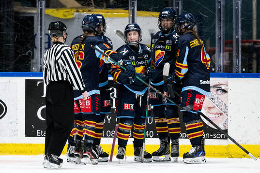 Djurgårdens Brette Pettet jublar
