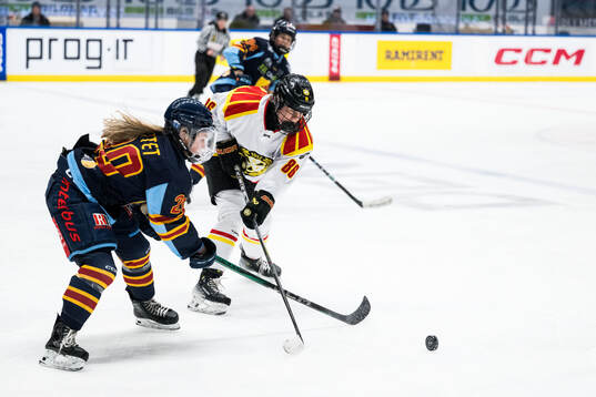 Djurgårdens Brette Pettet och Brynäs Sanni Vanhanen