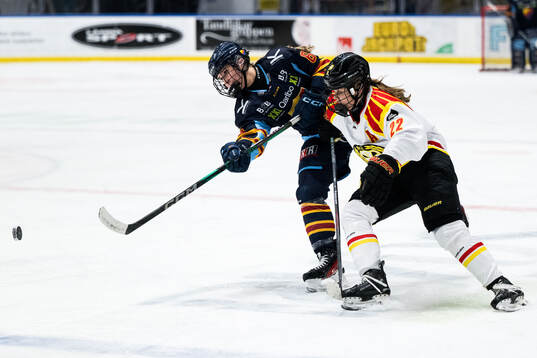 Djurgårdens Linda Vocetkova och Brynäs Hanna Thuvik