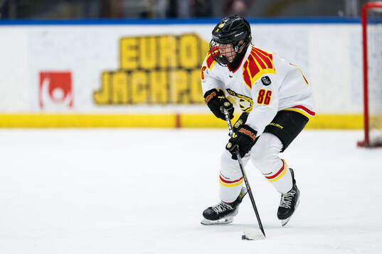 Brynäs Sanni Vanhanen