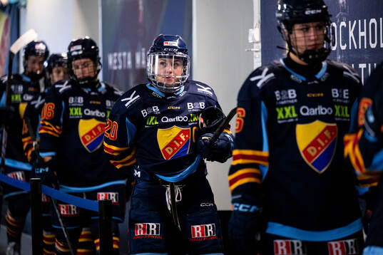 Djurgårdens Brette Pettet
