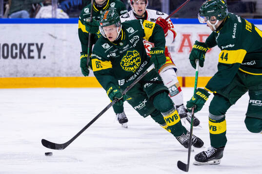 Björklövens Daniel Viksten