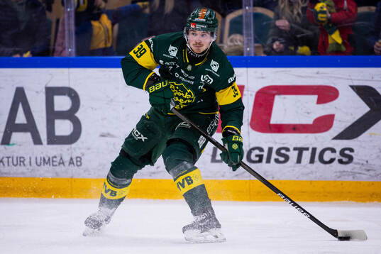 Björklövens Joel Mustonen