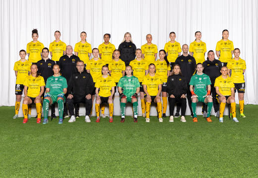 Elfsborg