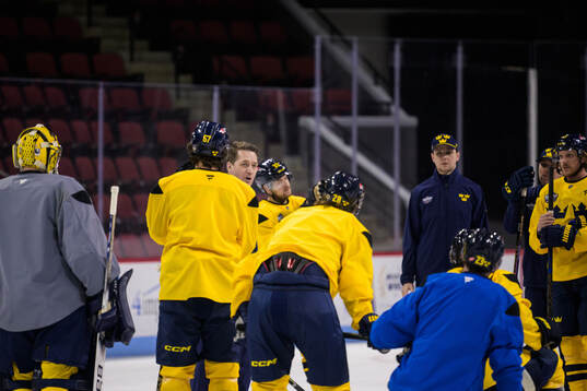Head coach Sam Hallam of Sweden at a practice session