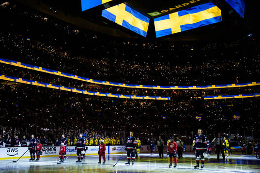 Players of Sweden