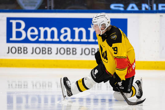 Västerås Anton Johansson