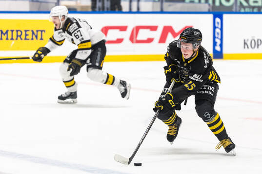 AIKs Theo Hårdstam