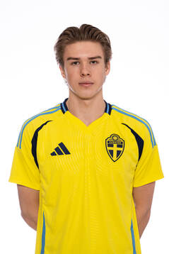 Noel Birgoth