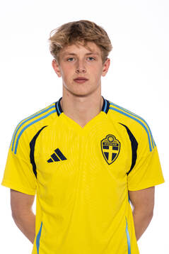 Valter Sedin